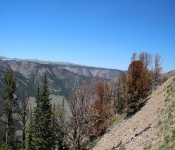 212ToYellowstone2013 002